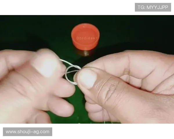 掌握ag捕鱼网高分技巧，轻松成为捕鱼高手的方法揭秘